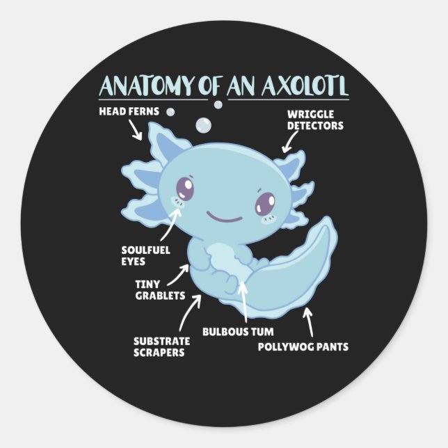 Axolotl Explanation Anatomy Of An Axolotl Classic Round Sticker (Front)