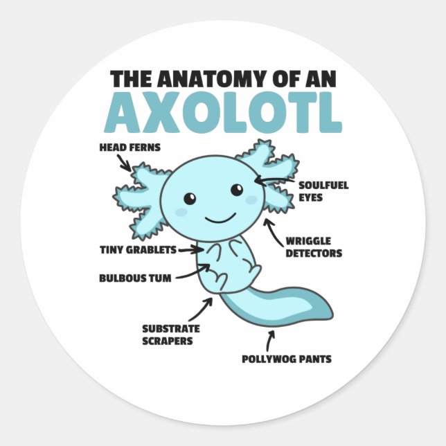 Axolotl Explanation Anatomy Of An Axolotl Classic Round Sticker (Front)