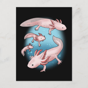 Axolotl Gift Kids Kawaii Axolotl Gifts Men Axolotl Postcard