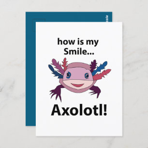Axolotl How Is My Smile Funny Axolotl  Postcard