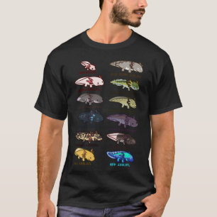 axolotl morphs and colours Classic T-Shirt