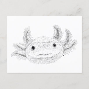 Axolotl Postcard