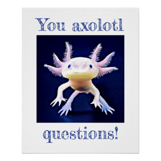 Axolotl Salamander Amphibian Poster