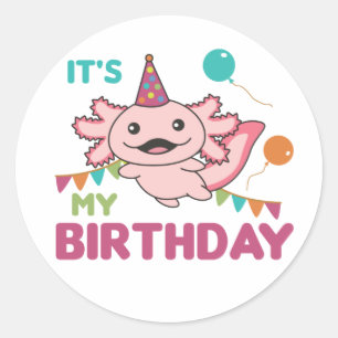 Axolotl Wishes It's My Birthday Cute Axolotls Clas Classic Round Sticker