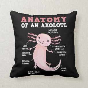 Axolotls Anatomy Of An Axolotl Kawaii Cushion