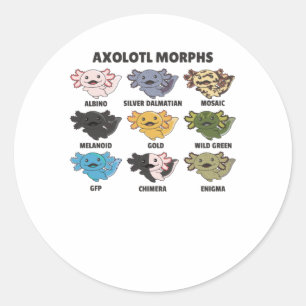 Axolotls From The World Sweet Animals Axolotl Classic Round Sticker