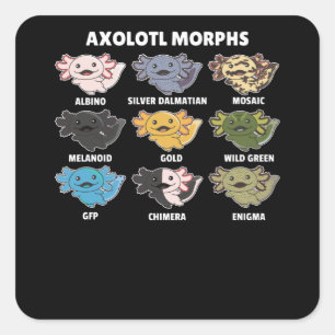 Axolotls From The World Sweet Animals Axolotl Square Sticker