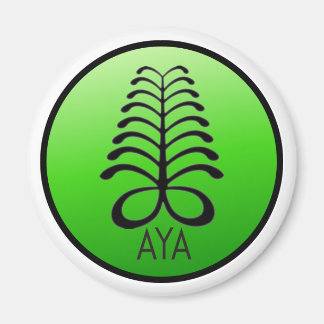 AYA NOT AFRAID OF YOU Magnet