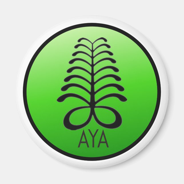 AYA NOT AFRAID OF YOU Magnet (Front)