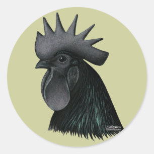 Ayam Cemani Rooster Head Classic Round Sticker