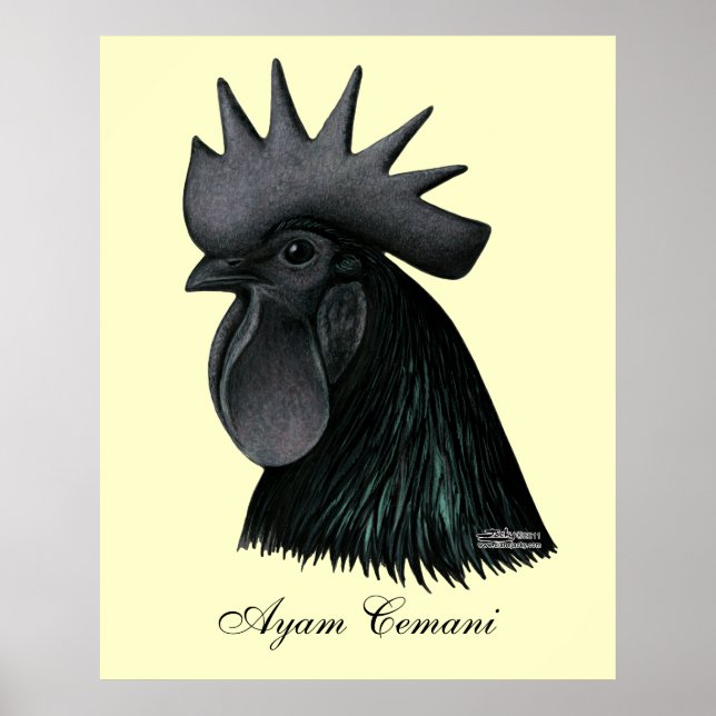 Ayam Cemani Rooster Head Poster (Front)