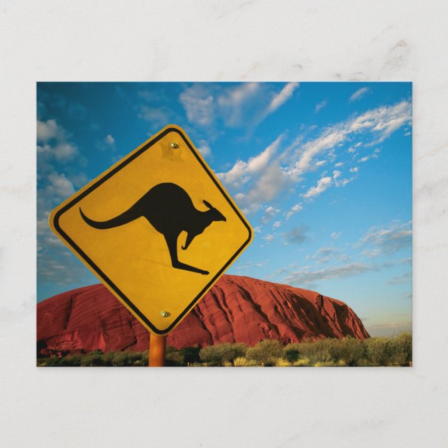 ayers rock kangaroo sign postcard (Front)