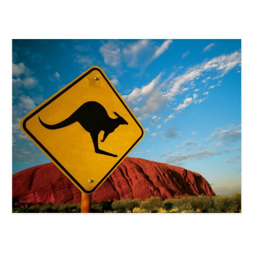 Image of ayers rock kangaroo sign Postcard