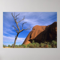 Ayers Rock Uluru in the Outback Australia