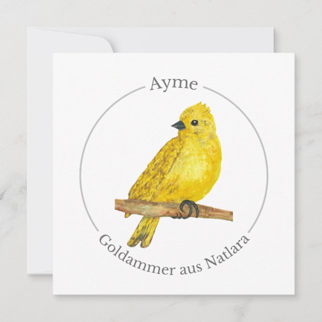 Ayme -  Goldammer aus Natlara (Front)