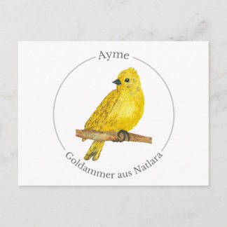 Ayme -  Goldammer aus Natlara Holiday Postcard