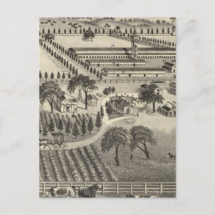 Ayrshire Farm Postcard