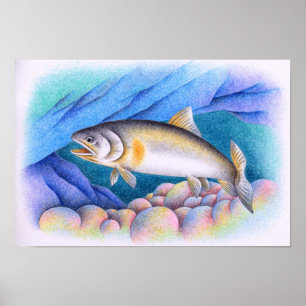 Ayu swimming in a clear stream. poster