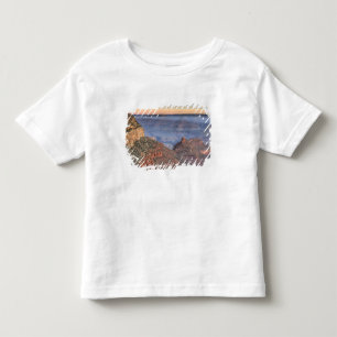 AZ, Arizona, Grand Canyon National Park, South 2 Toddler T-Shirt