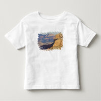 AZ, Arizona, Grand Canyon National Park, South 3