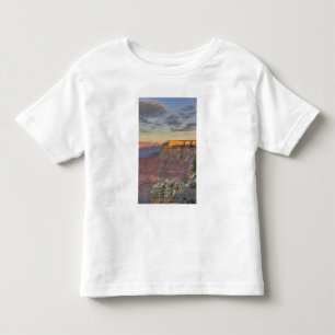 AZ, Arizona, Grand Canyon National Park, South Toddler T-Shirt