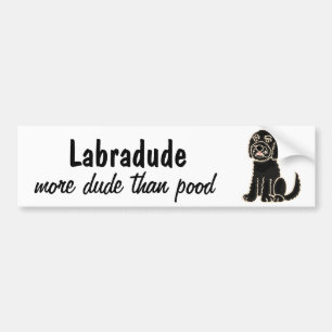 AZ- Labradoodle Bumper Sticker
