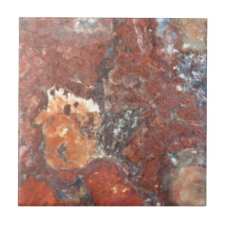 AZ Petrified Wood Tile