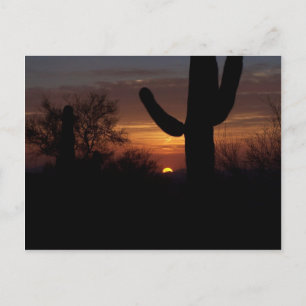 AZ sunset 1 Postcard
