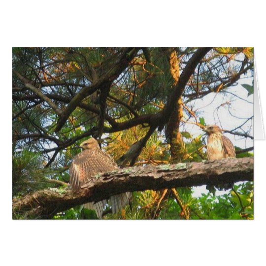 AZ- Thinking of you hawk card