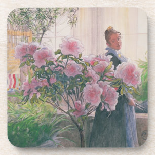 Azalea, 1906 (w/c on paper) coaster