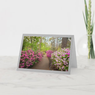 Azalea 4 Winding garden path & pink azaleas Card
