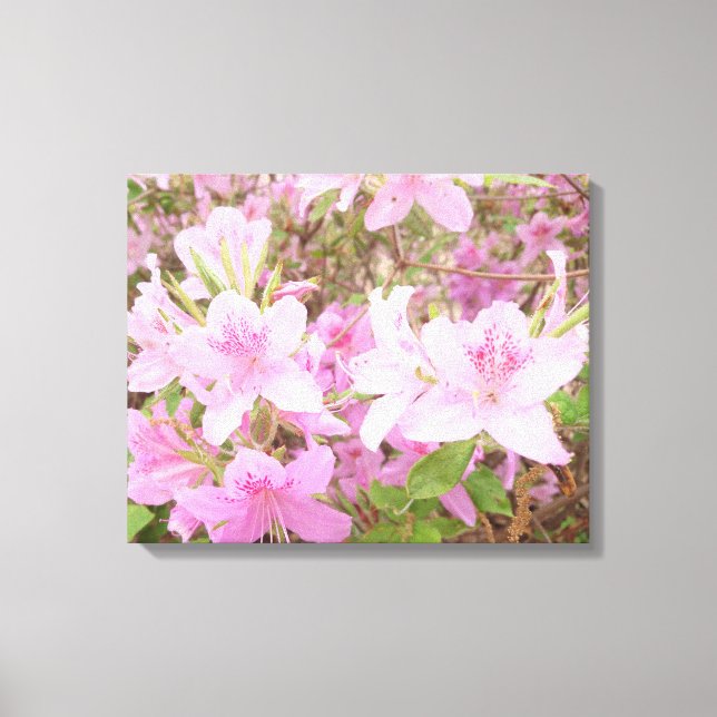 Azalea Bloom Close-Up Photography Canvas Print (Front)