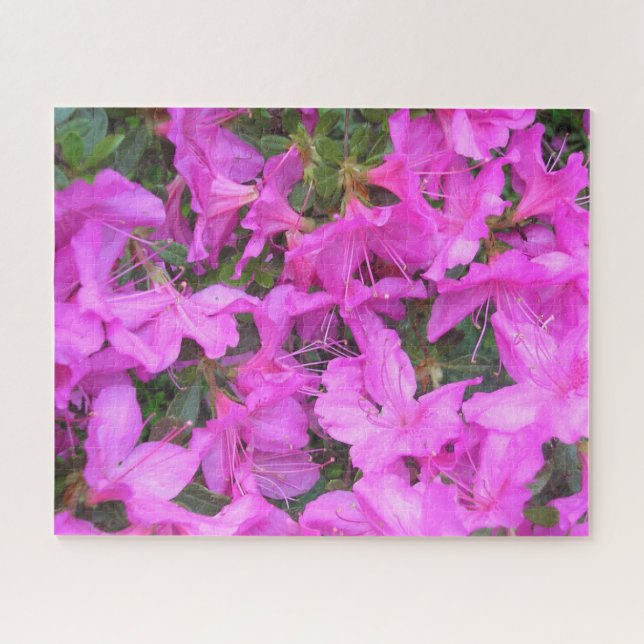 "Azalea Blooms" Jigsaw Puzzle (Horizontal)