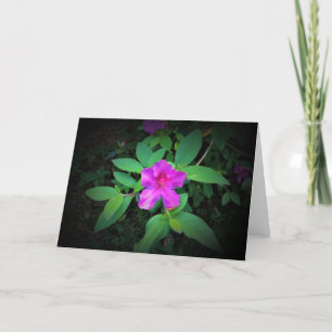 Azalea, card