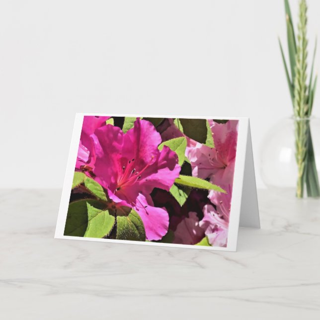 Azalea, card (Front)
