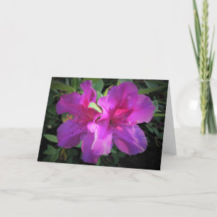 Azalea, card