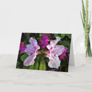 Azalea, card