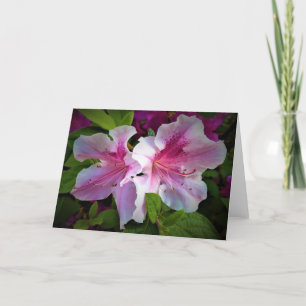 Azalea, card