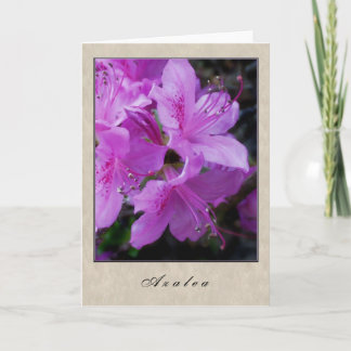 Azalea - Floral Series Card