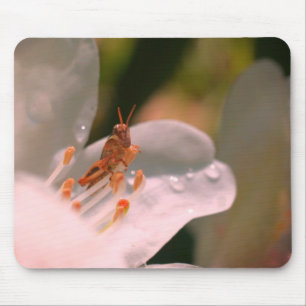 Azalea Flower And Grasshopper  Mouse Mat
