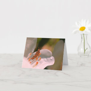 Azalea Flower And Grasshopper Personalised Note Card