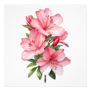 Azalea flower watercolor painting photo print