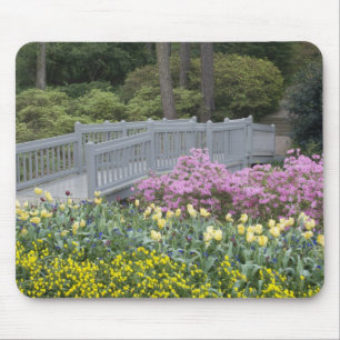 Azalea Heath Family (Ericaceae), Tulip, and Mouse Mat