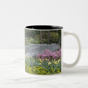 Azalea Heath Family (Ericaceae), Tulip, and Two-Tone Coffee Mug