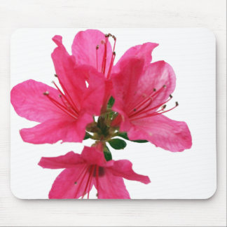 Azalea Mouse Mat