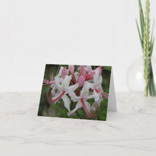 Azalea Note Card