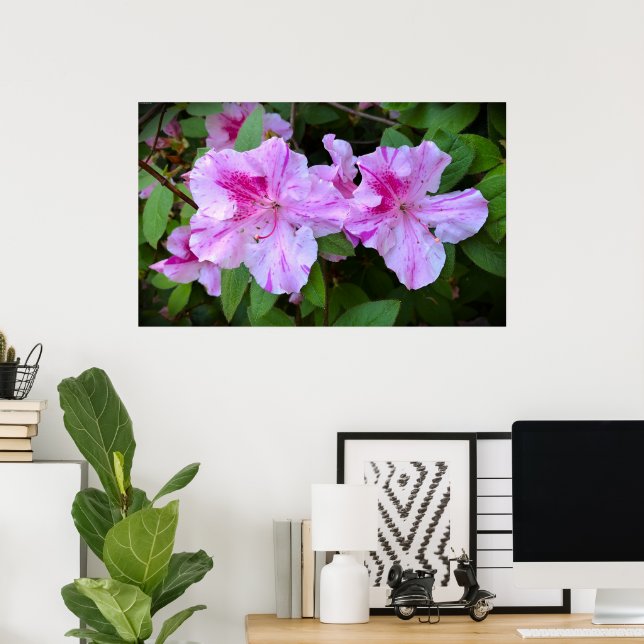 Azalea,  poster (Home Office)