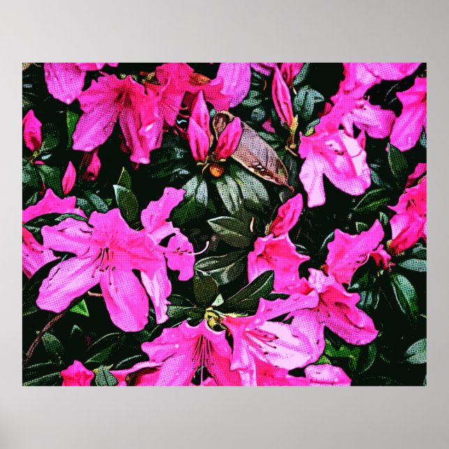 Azaleas 6082 poster (Front)