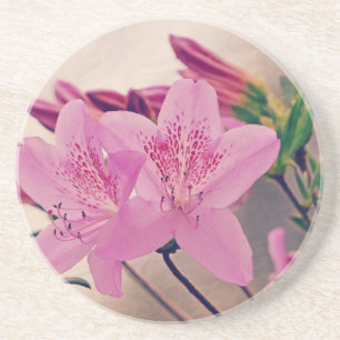 Azaleas Coaster