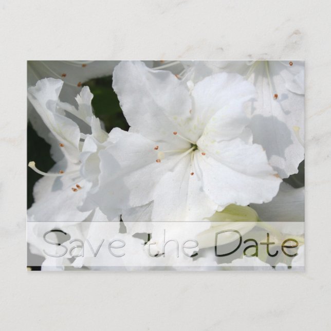 Azaleas Floral Wedding Save the Date Postcard 2 (Front)